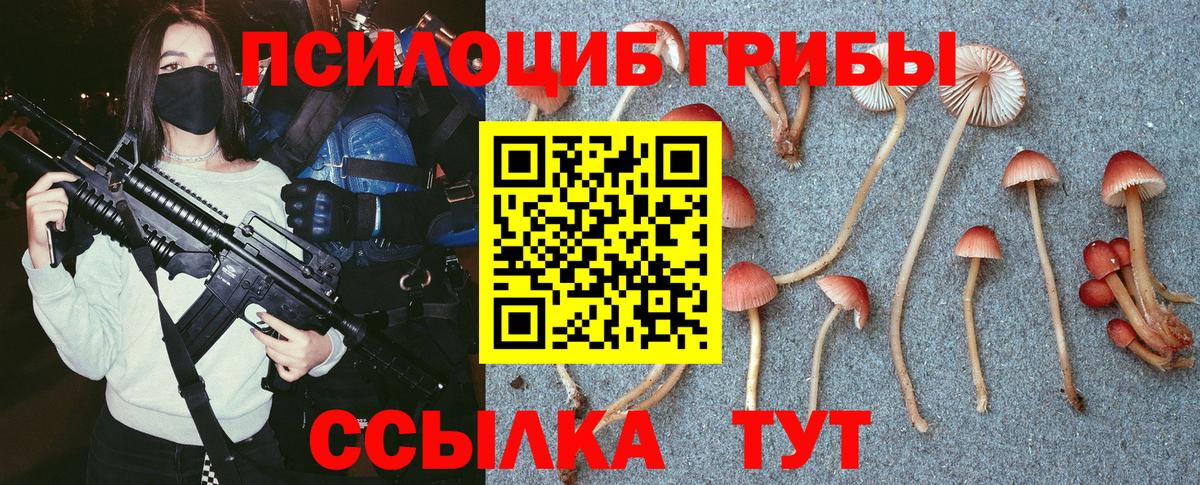 Лесной  закладки  Вход с VPN  Галлюциногенные грибы Psilocybe 
