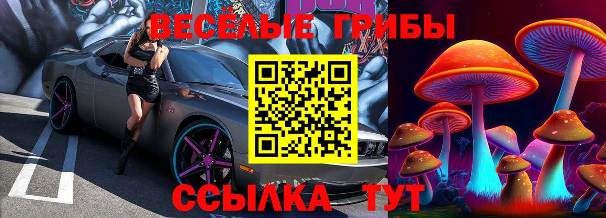 Псилоцибиновые грибы MAGIC MUSHROOMS Лесной